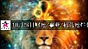 2025年10月26日财运/事业/桃花运