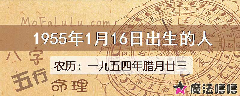 1955年1月16日出生的八字怎么样？