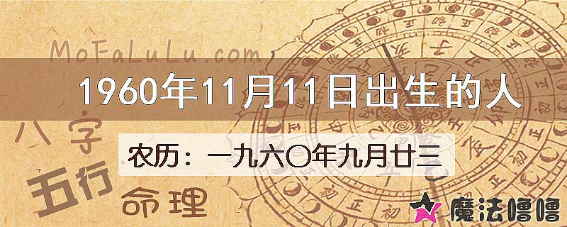 1960年11月11日出生的八字怎么样？