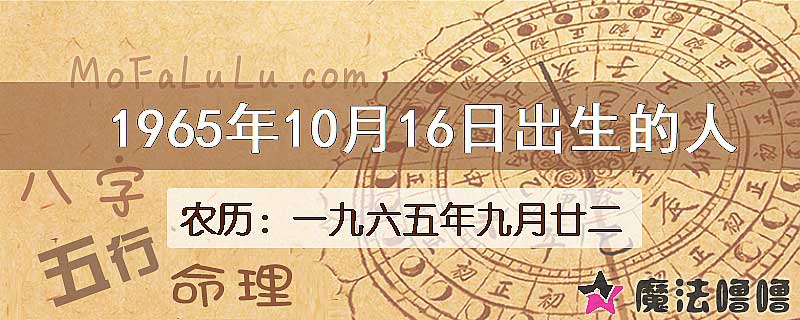1965年10月16日出生的八字怎么样？