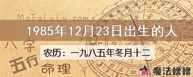 1985年12月23日出生的人
