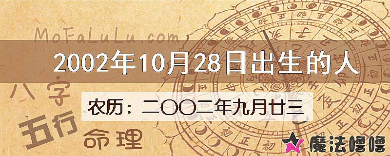 2002年10月28日出生的八字怎么样？