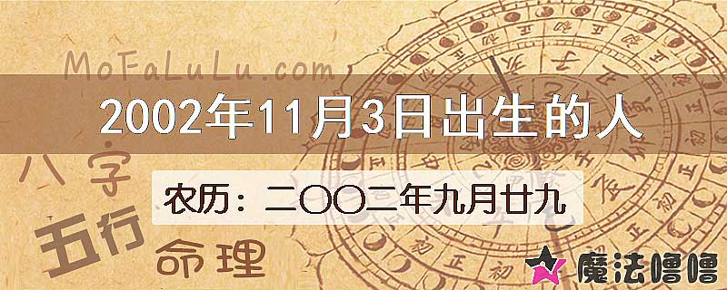 2002年11月3日出生的八字怎么样？