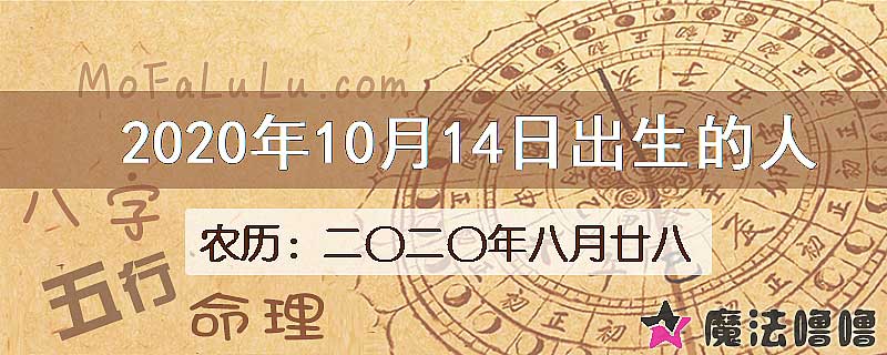 2020年10月14日出生的人