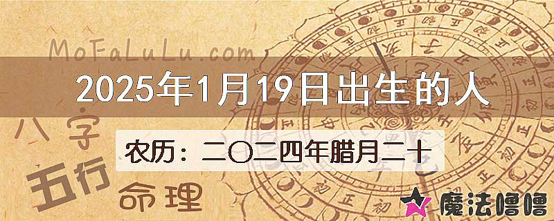 2025年1月19日出生的八字怎么样？