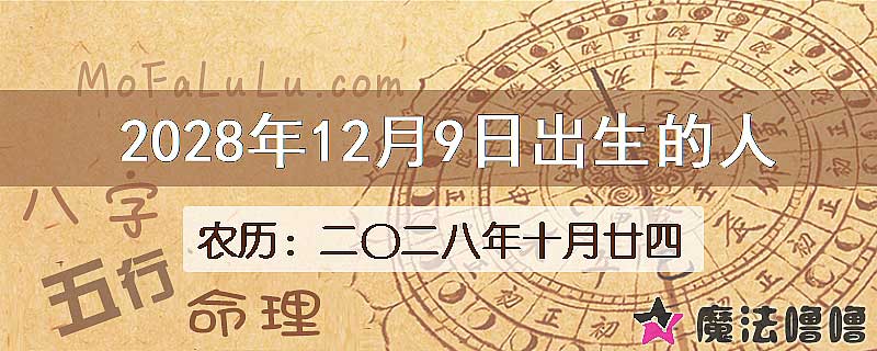 2028年12月9日出生的人
