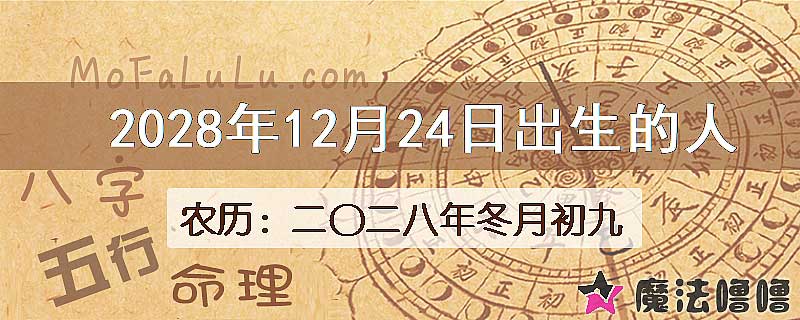 2028年12月24日出生的人