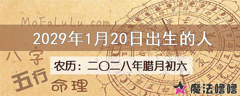 2029年1月20日出生的人