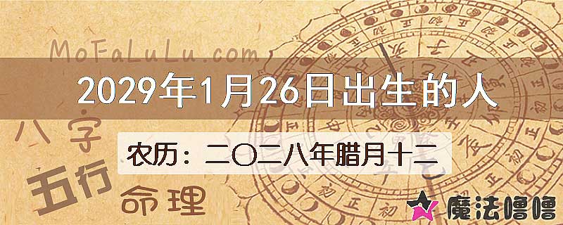 2029年1月26日出生的人