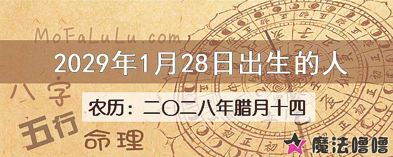 2029年1月28日出生的人