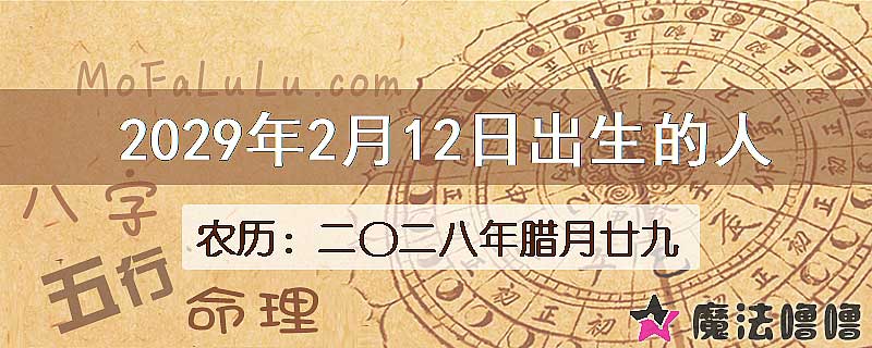 2029年2月12日出生的人