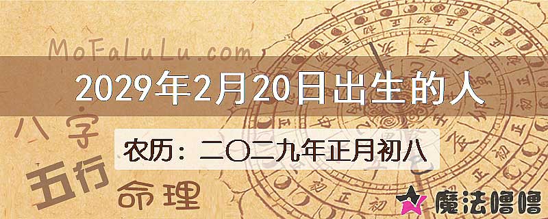2029年2月20日出生的人