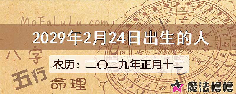 2029年2月24日出生的人
