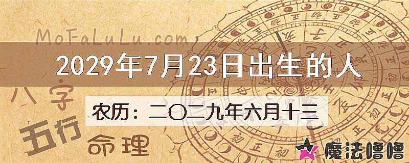 2029年7月23日出生的人