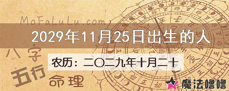 2029年11月25日出生的人