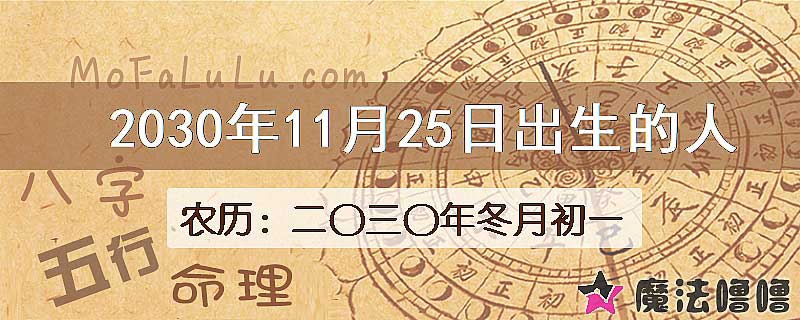 2030年11月25日出生的人