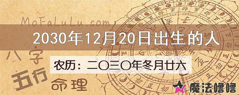 2030年12月20日出生的人