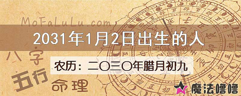 2031年1月2日出生的人