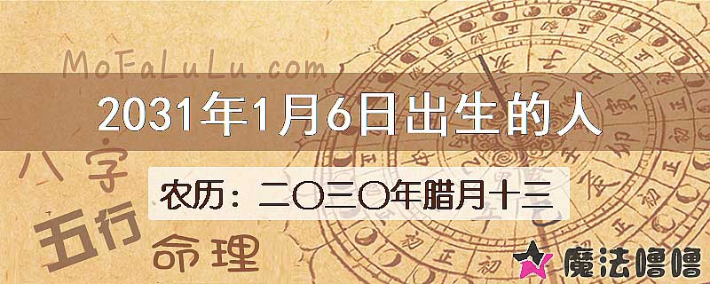 2031年1月6日出生的人