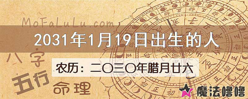 2031年1月19日出生的人