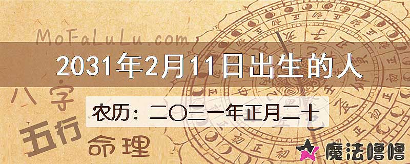 2031年2月11日出生的人