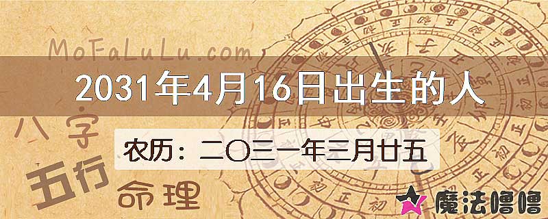 2031年4月16日出生的人