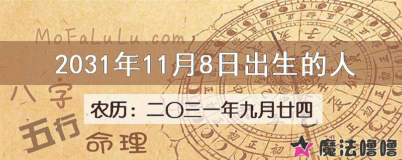 2031年11月8日出生的人