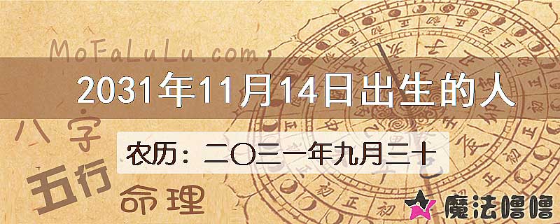 2031年11月14日出生的人