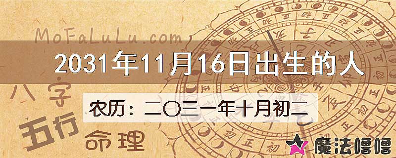2031年11月16日出生的人