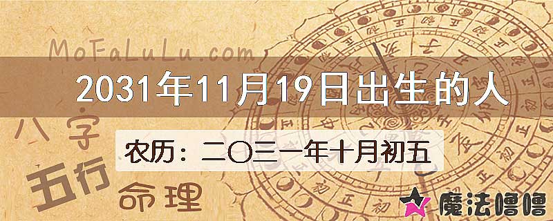 2031年11月19日出生的人
