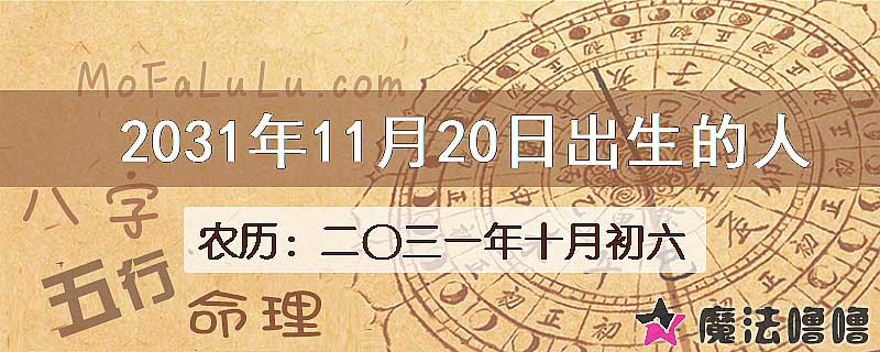 2031年11月20日出生的人