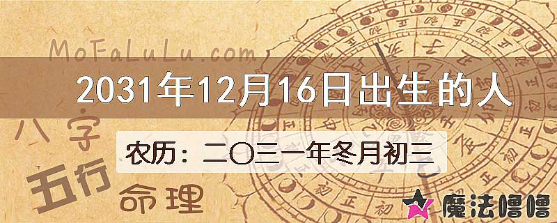 2031年12月16日出生的人
