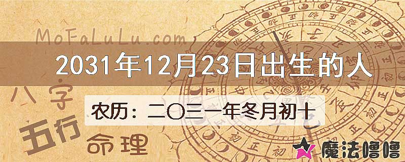 2031年12月23日出生的人