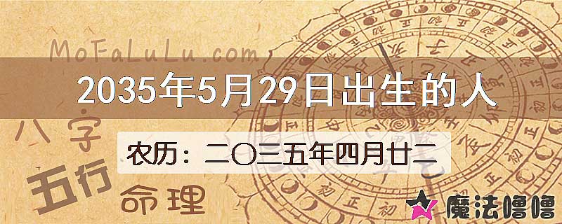 2035年5月29日出生的人