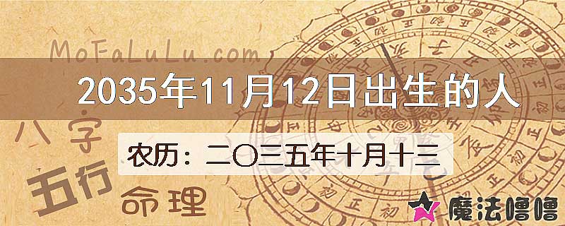 2035年11月12日出生的人