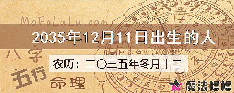 2035年12月11日出生的人