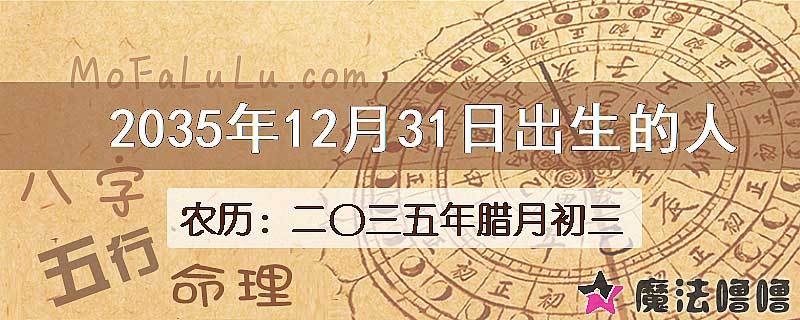 2035年12月31日出生的人