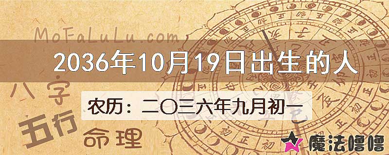 2036年10月19日出生的人