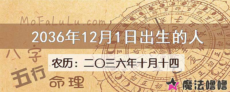 2036年12月1日出生的人