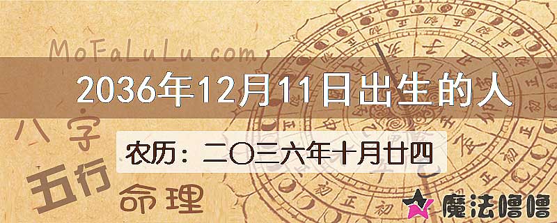 2036年12月11日出生的人