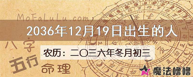 2036年12月19日出生的人
