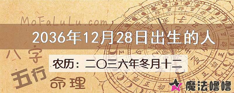 2036年12月28日出生的人