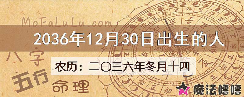 2036年12月30日出生的人