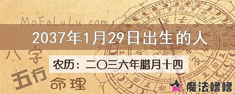 2037年1月29日出生的人
