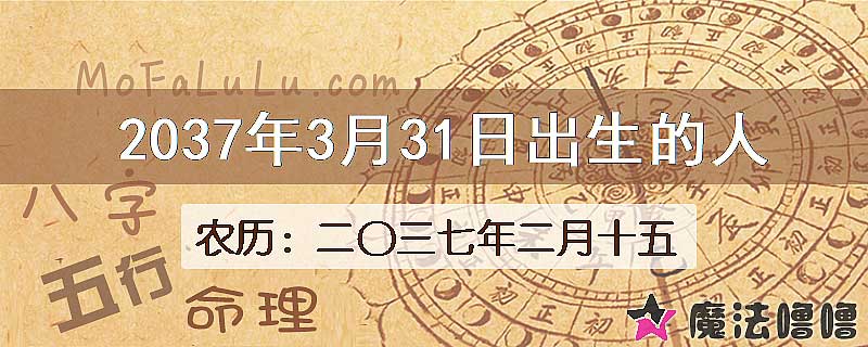 2037年3月31日出生的人