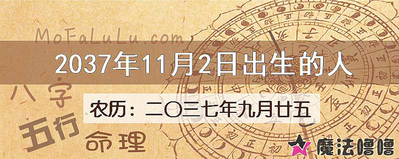 2037年11月2日出生的人