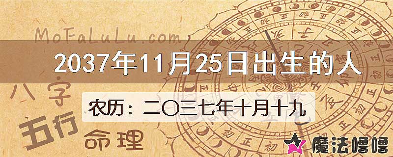 2037年11月25日出生的人