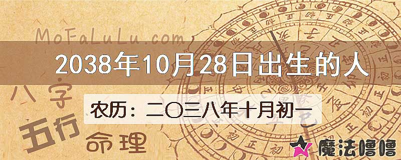 2038年10月28日出生的人