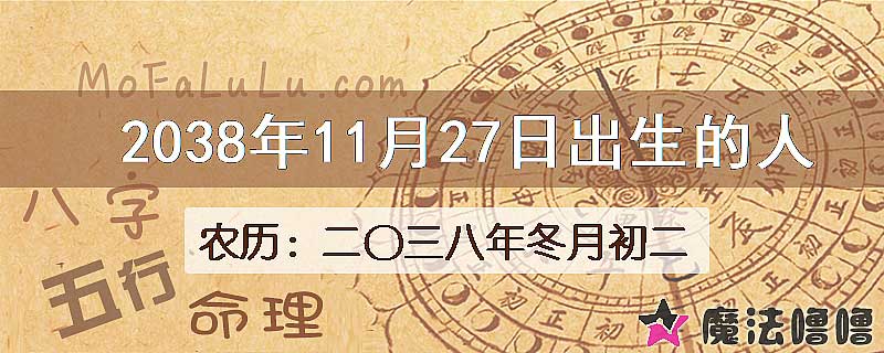 2038年11月27日出生的人