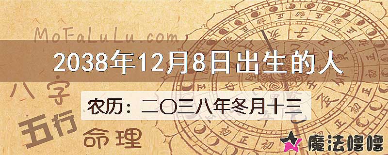 2038年12月8日出生的人